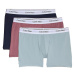 3PACK pánske boxerky Calvin Klein nadrozmer viacfarebné (NB3378A-M8P)