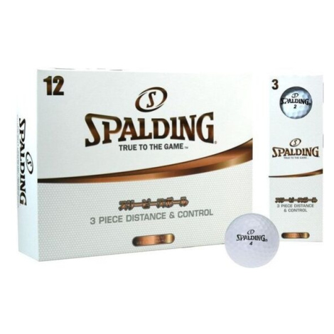 Vybavenie pre loptové športy Spalding