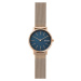 Skagen Signatur SKW2837