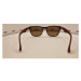 BLIZZARD-Sun glasses PC4064-002 soft touch dark grey rubber, 56-1 Mix