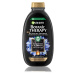Garnier Botanic Therapy Magnetic Charcoal čistiaci šampón, 250 ml