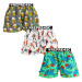 3PACK men's boxer shorts Represent exclusive Mike