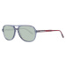 Hackett Sunglasses