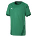 Puma teamGOAL 23 Jersey Jr 704160 05 tričko