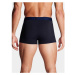 Under Armour 1383891-410 boxerky