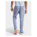 Adidas Teplákové nohavice Terrex LiteFlex Tracksuit Bottoms HS5895 Fialová Regular Fit