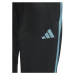 Nohavice adidas Tiro 23 Club Training Jr IC1588