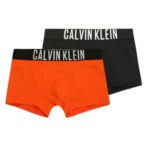 Calvin Klein Underwear Nohavičky 'Intense Power'  oranžová / čierna / biela