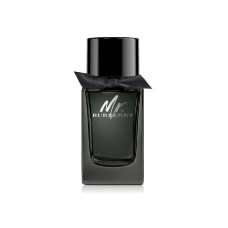 Burberry Mr. Burberry - EDP 150 ml