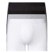 LIVERGY® Pánske boxerky, 3 kusy (čierna/sivá/biela)