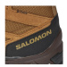 Salomon Trekingová obuv X Ward Leather Mid GORE-TEX L47181800 Hnedá