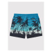 Quiksilver Plavecké šortky Everyday Paradise 14" EQBJV03390 Modrá Regular Fit