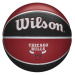 Wilson NBA Team tribute Chicago Bulls