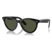 Ray-Ban RB2241 901/31 - (54-21-150)