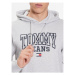 Tommy Jeans Mikina Entry Graphic DM0DM16792 Sivá Regular Fit