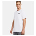 Men's T-shirt Under Armour HW Armour Label SS