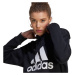 Mikina adidas Essentials Big Logo Regular Fleece Sweatshirt W HZ2984