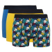 DEFACTO Men's Patterned 3-Pack Boxer