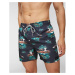 Plavky Rip Curl Scenic Volley