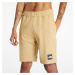 Šortky The North Face Summer Logo Short Khaki Stone