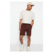 Trendyol Brown-Stone Basic Regular/Normal Cut Straight 2 Pack Shorts