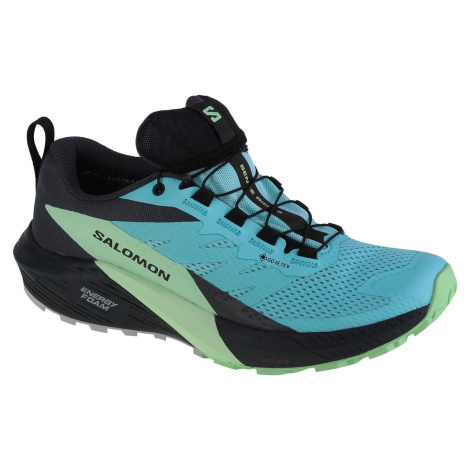 TYRKYSOVÉ BEŽECKÉ TENISKY SALOMON SENSE RIDE 5 GTX W 472160