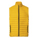 LIVERGY® Pánska vesta (žltá)