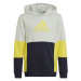 Adidas Colourblock Hoodie Jr HN8567