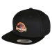 Black Snapback with Jurassic Park logo