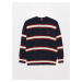 LC Waikiki Crew Neck Long Sleeve Striped Men's Knitwear Sweater