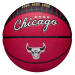 Wilson NBA Team City Edition Collector Chicago Bulls