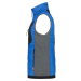 Icepeak Davis Vest