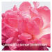 Dior - Miss Dior Absolutely Blooming - parfumovaná voda 100 ml