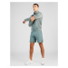 Champion Authentic Athletic Apparel Športové nohavice  pastelovo zelená
