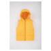 DEFACTO Baby Boy Hooded Vest