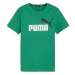 PUMA Tričko 'Essential'  zelená / čierna / biela