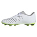 Topánky adidas Predator Accuracy.4 FxG Jr IE9434