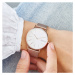 Skagen Signatur Slim SKW2784