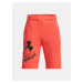 Under Armour Shorts UA Prototype 2.0 Logo Shorts-ORG - Boys