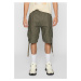 Men's shorts Pure Vintage olive