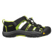 Keen Newport H2 black/lime green