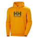 Pánska mikina Helly Hansen Logo Hoodie M 33977-328