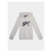 Tommy Hilfiger Mikina Hilfiger Script Hoodie KB0KB08718 Sivá Regular Fit