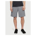 Graphic Under Armour Grey Men's Shorts