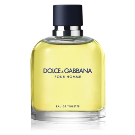 Dolce&Gabbana Pour Homme toaletná voda pre mužov Dolce & Gabbana