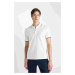 DEFACTO Regular Fit Short Sleeve Polo T-Shirt