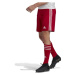 adidas SQUAD 21 SHO Pánske futbalové šortky, červená, veľkosť