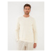 LC Waikiki Crew Neck Long Sleeve Men's Sweatshirt