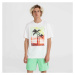 O'Neill Jack Neon T-Shirt 92800613598