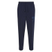 Tommy Jeans Tepláky - TJM COLLEGIATE BAXTER SWEATPANT modré